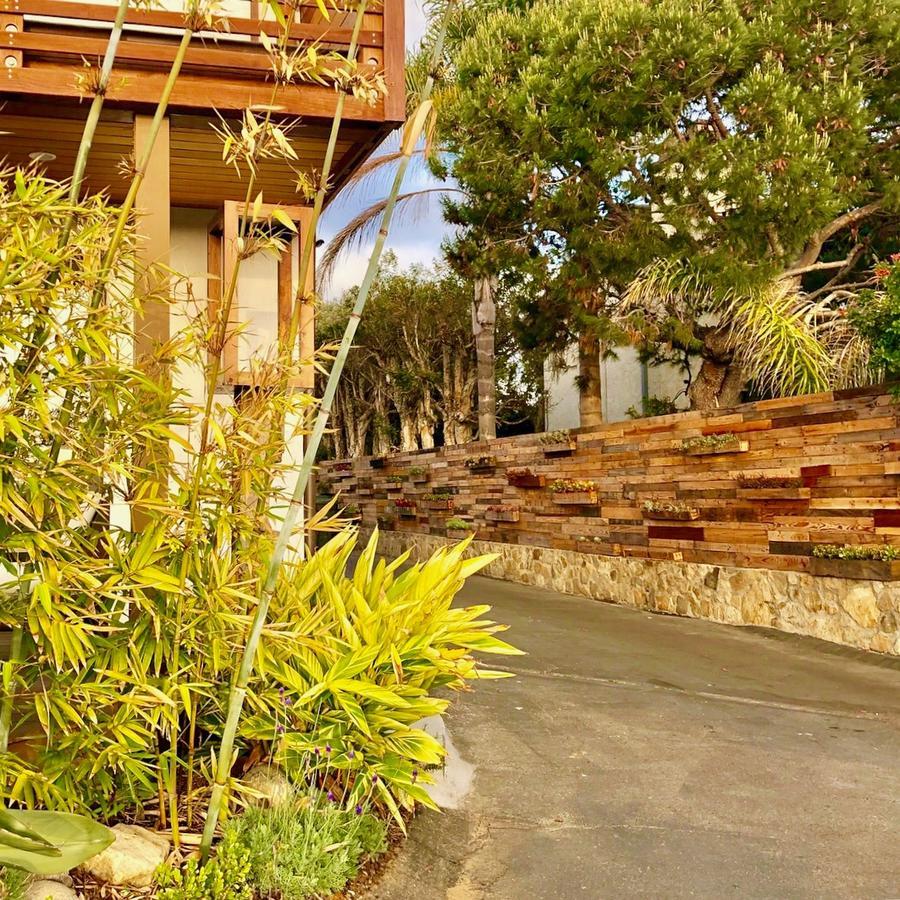 Inn at Moonlight Beach Encinitas Eksteriør bilde